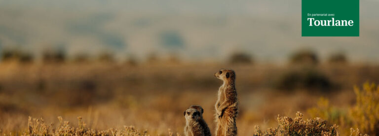 Réservations avec une agence partenaire